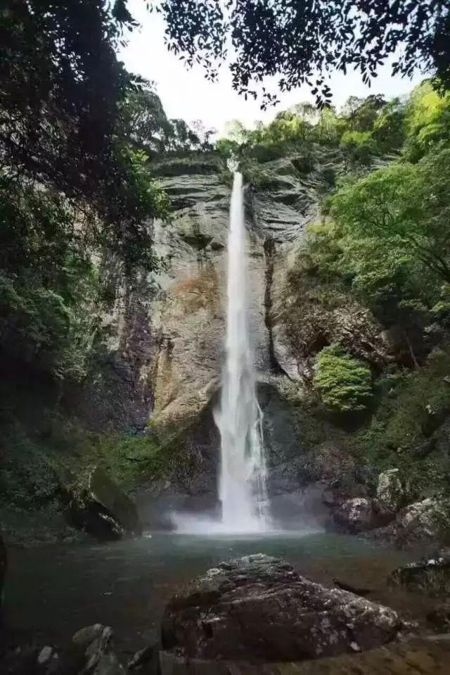 我长的像不像不凉学生?-机智问答网页,智能解答你的问题